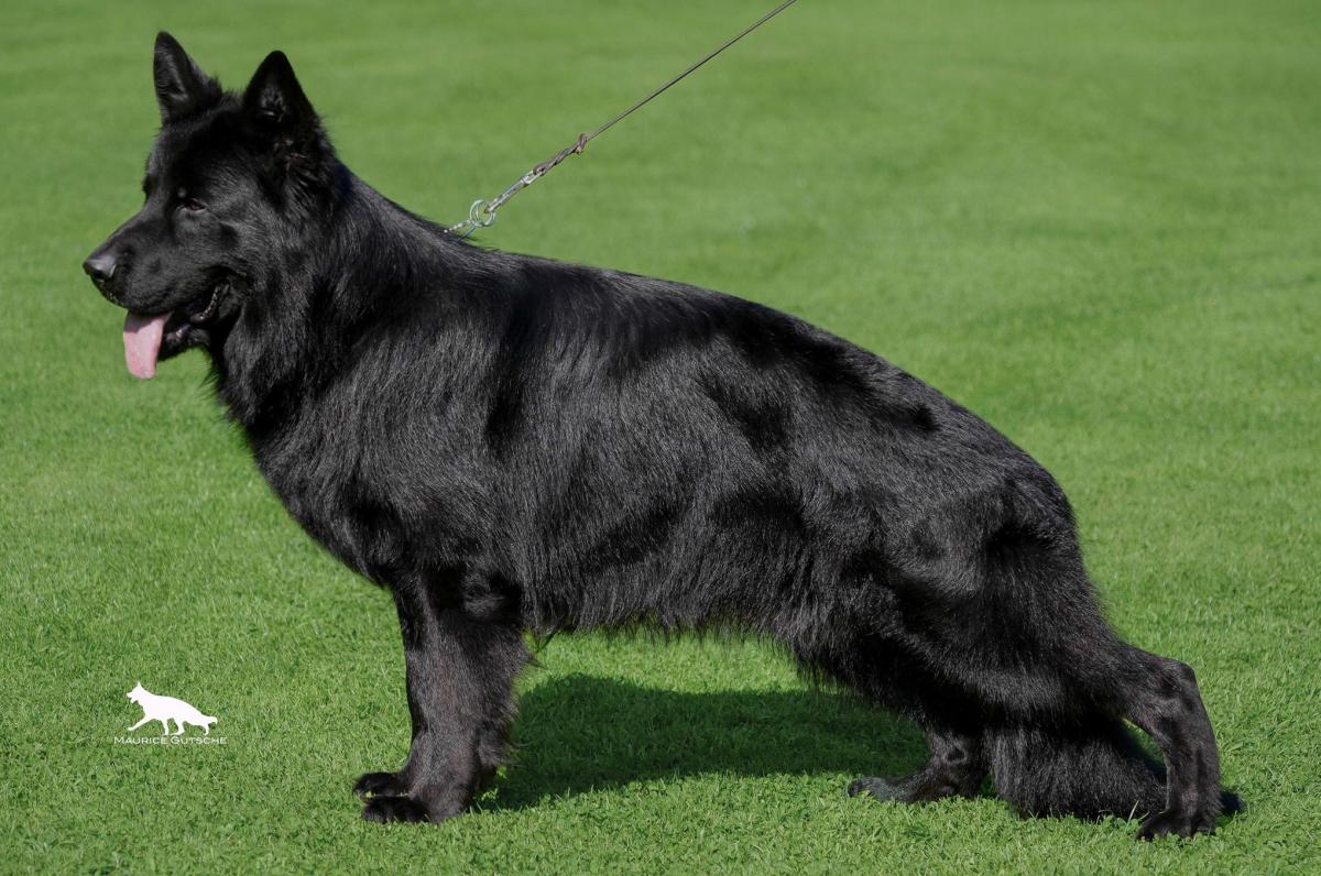 Iliano von der Ostseeküste